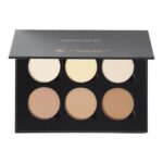 کانتور خشک لایت تو مدیوم آناستازیا ANASTASIA CONTOUR KIT LIGHT TO MEDIUM