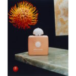امواژ لاو دلایت زنانه AMOUAGE - LOVE DELIGHT 100ML edp - تصویر 3