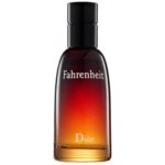 دیور فارنهایت DIOR FAHRENHEIT MAN 100ml