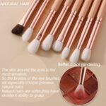 ست براش نود دریمز فرن کازمتیک PHEREIN COSMETICS NUDE DREAMS BRUSH SET - تصویر 2