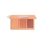 رژگونه سه رنگ شیگلم SHEGLAM TRIO BLUSH PRIVATE CABANA